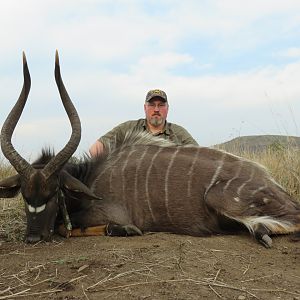 Big Nyala Hunt