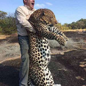 Leopard Hunt Zimbabwe