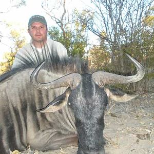 Blue Wildebeest Hunting in Zimbabwe
