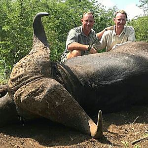 Buffalo down, first safari for 2017, one happy Hunter!