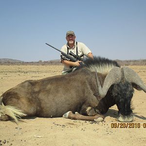 Black Wildebeest Hunt Namibia