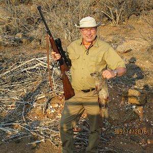 Rock Hyrax/Rock Dassie Hunt Namibia