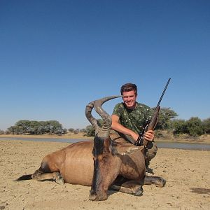 Red hartebeest Hunt Namibia