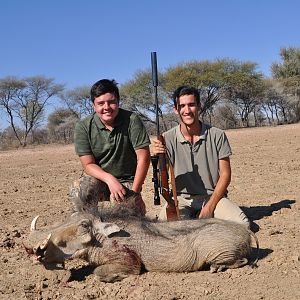 Warthog Hunt Namibia