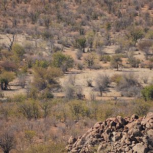 Namibia