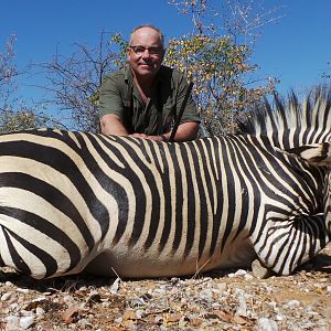 Hartmann's mountain Zebra Hunt Namibia