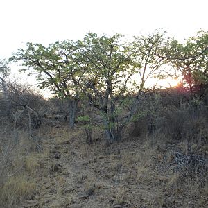 Hunting in Namibia