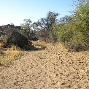 Dry riverbed Namibia