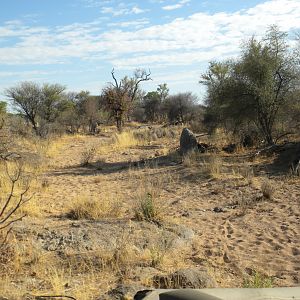 Dry riverbed Namibia