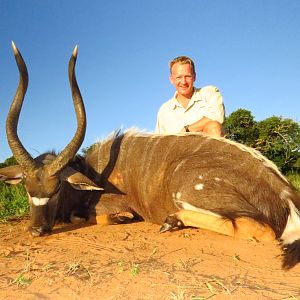 Nyala taken on recent safari, stunning animal