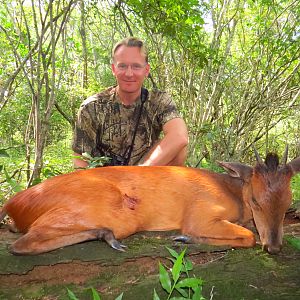 Elusive Red Duiker Hunt