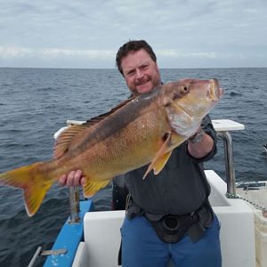 Fishing Copperhead Steenbra