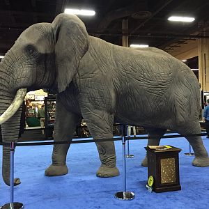 Elephant full mount taxidermy