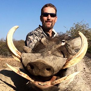 Hunting Warthog in South Africa