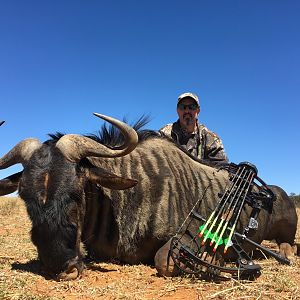 Blue Wildebeest Bow Hunting