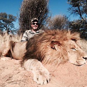 Hunting Lion South Africa