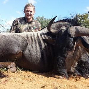 Blue Wildebeest Hunting in South Africa