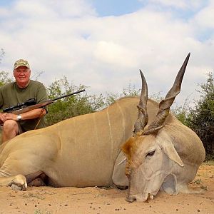 Hunting Eland South Africa