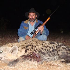 Zimbabwe Spotted Hyena Hunting