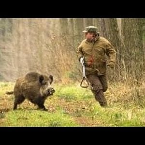 Best 10 shooting to Wild boar Hunting