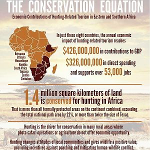 The Conservation Equation