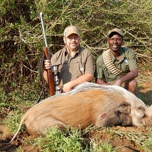 Bushpig Hunt