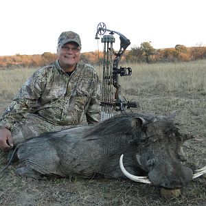 Bow Hunting Warthog in South Africa