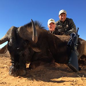 Hunting South Africa Black Wildebeest