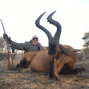 Red Hartebeest Hunting in South Africa