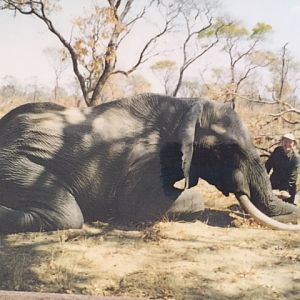 Elephant Hunting Botswana