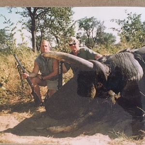 Elephant Hunting Botswana