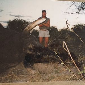 Elephant Hunting Botswana