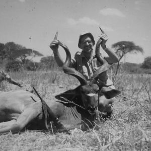 Hunting Kudu Tanzania