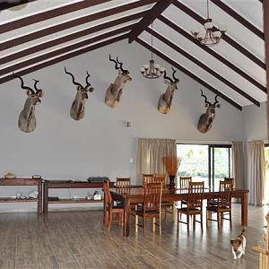 Hunting Accommodation Kudu Ridge Lodge