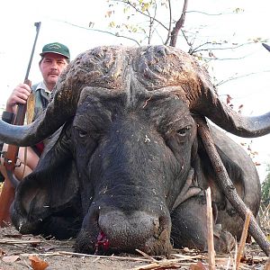 Hunting Buffalo South Africa