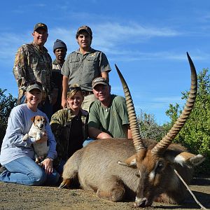 Waterbuck South Africa Hunt