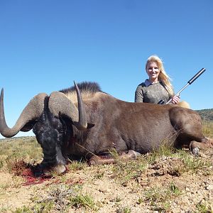 Hunt Black Wildebeest South AFrica