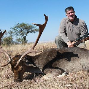 Hunt Fallow Deer South AFrica