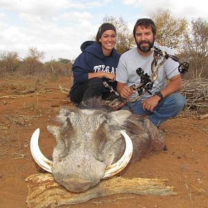 Warthog Bow Hunting in South Africa