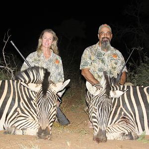 Hunt Zebra in South Africa