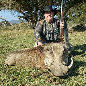 Warthog Hunting in South Africa