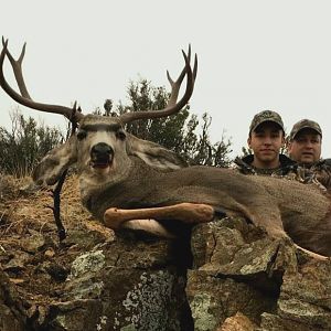 Sons second Mule Deer in 2015 new mexico