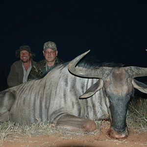 South Africa Blue Wildebeest Hunting