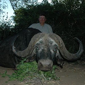 Hunting Buffalo South Africa