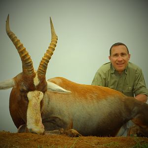 Hunting Blesbok South Africa