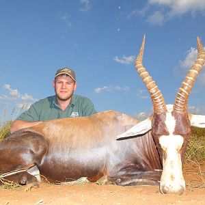 Hunting Blesbok South Africa