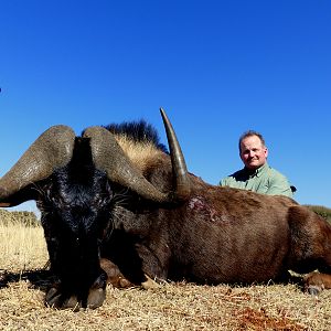 Hunt Black Wildebeest South Africa