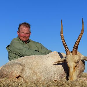 White Blesbok Hunting South Africa