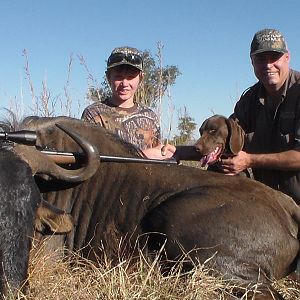 South Africa Blue Wildebeest Hunting