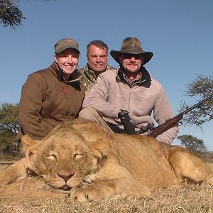 Lioness Hunt in South Africa